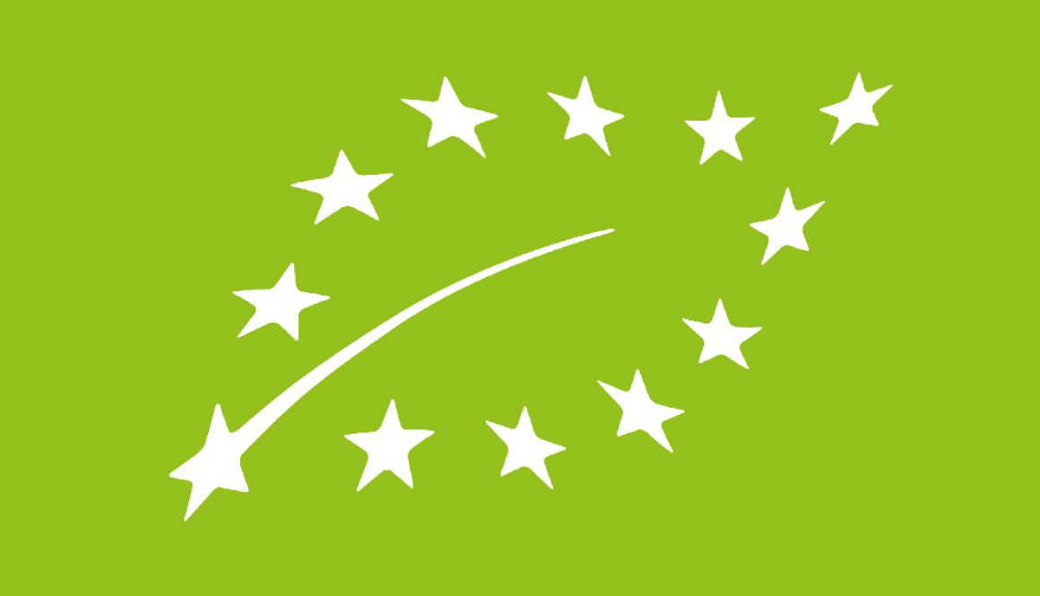 Logo-biologico-foglia-122